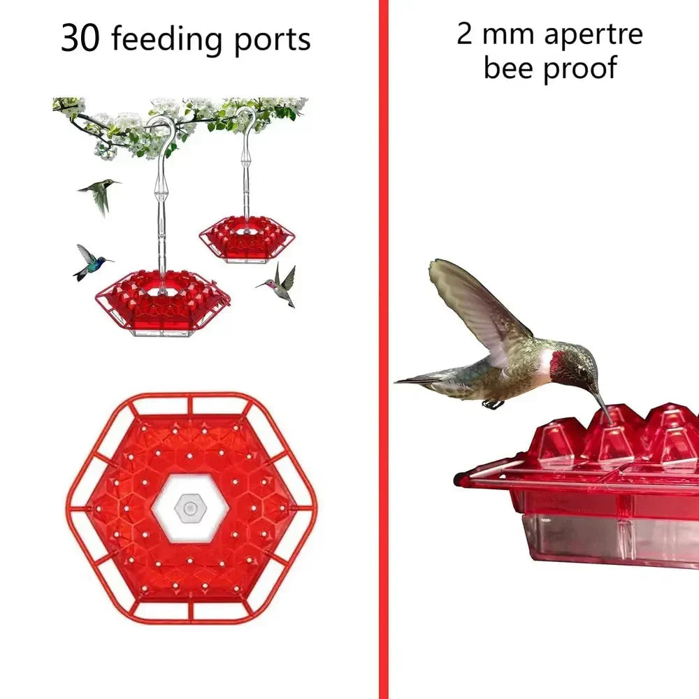 Ant-Proof Hummingbird Feeder with Hanging Perch for Outdoor Use