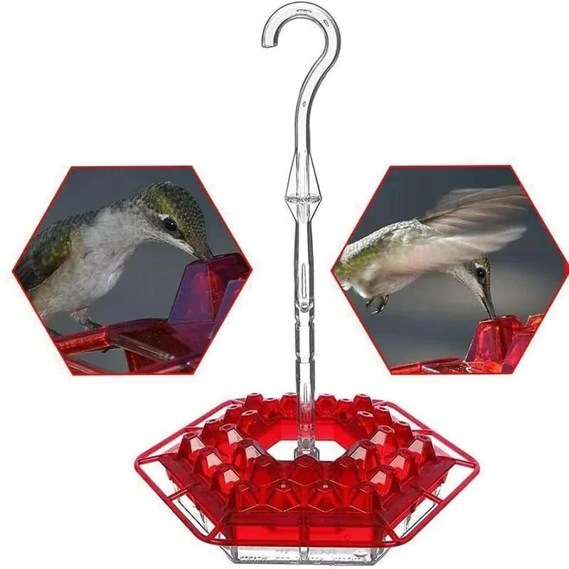 Ant-Proof Hummingbird Feeder with Hanging Perch for Outdoor Use