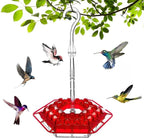 Ant-Proof Hummingbird Feeder with Hanging Perch for Outdoor Use