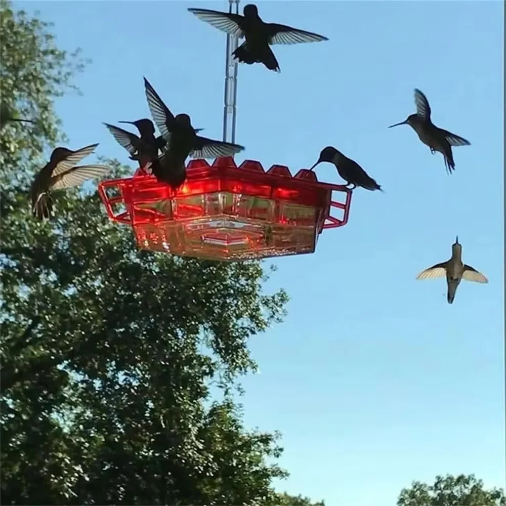 Ant-Proof Hummingbird Feeder with Hanging Perch for Outdoor Use