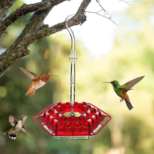 Ant-Proof Hummingbird Feeder with Hanging Perch for Outdoor Use