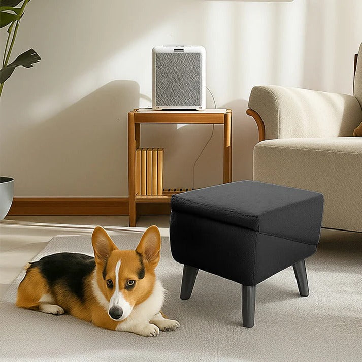Convertible Dog Ramp and Step Stool - Durable Design for Easy Pet Access