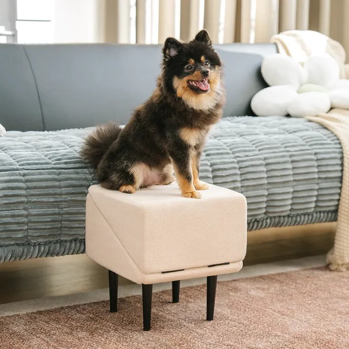 Convertible Dog Ramp and Step Stool - Durable Design for Easy Pet Access