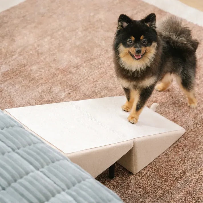 Convertible Dog Ramp and Step Stool - Durable Design for Easy Pet Access