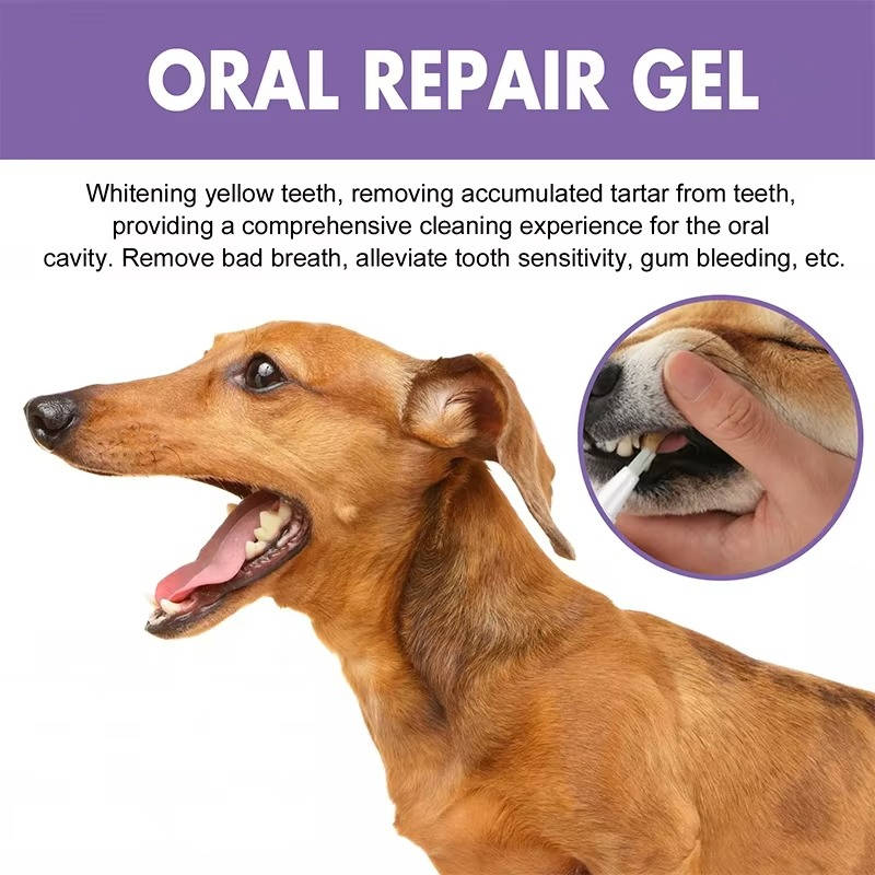 Dog Oral Repair Gel - 3 Pack - Dental Care for Dogs - Soothing Formula