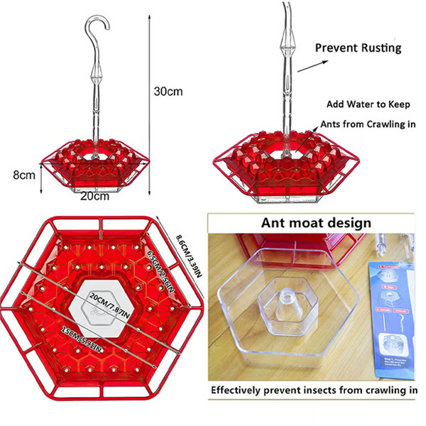 Hummingbird Feeder with Ant Moat - Glass Hanging Bird Feeder for Outdoor Use