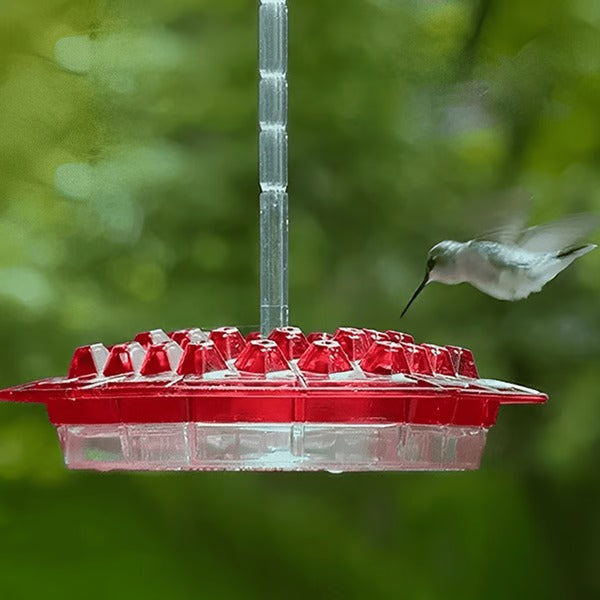 Hummingbird Feeder with Ant Moat - Glass Hanging Bird Feeder for Outdoor Use