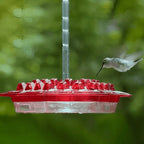 Hummingbird Feeder with Ant Moat - Glass Hanging Bird Feeder for Outdoor Use