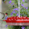 Hummingbird Feeder with Ant Moat - Glass Hanging Bird Feeder for Outdoor Use
