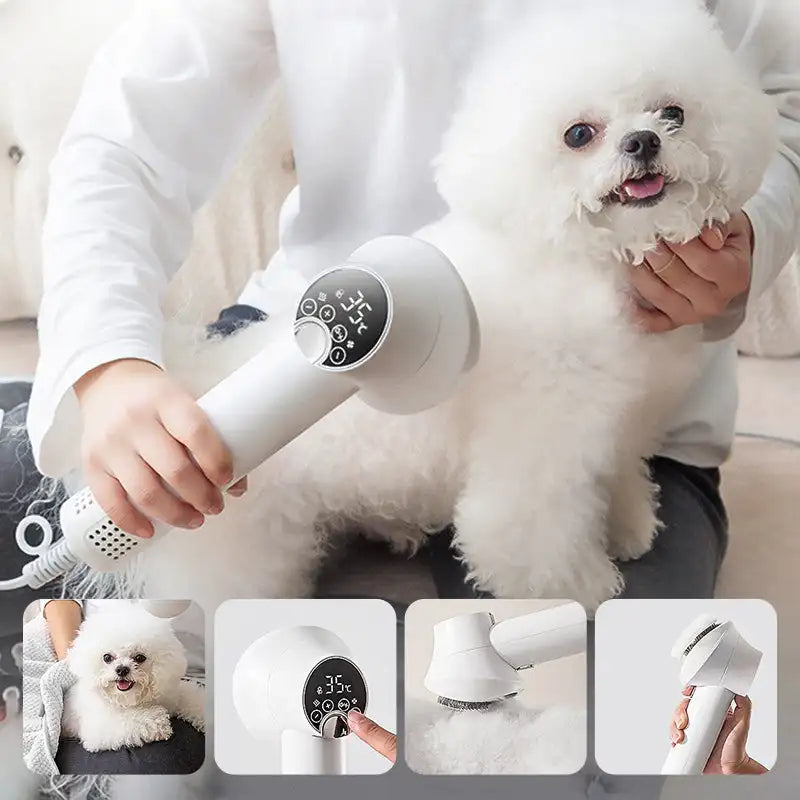 Smart Dog Hair Dryer with Dual Functionality for Efficient Pet Grooming
