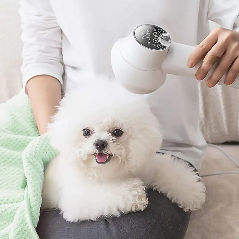 Smart Dog Hair Dryer with Dual Functionality for Efficient Pet Grooming